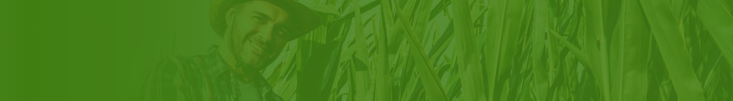 sector-agroindustrial