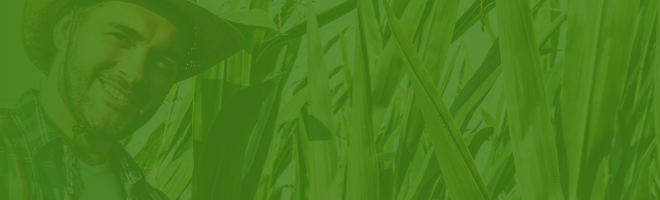 sector-agroindustrial